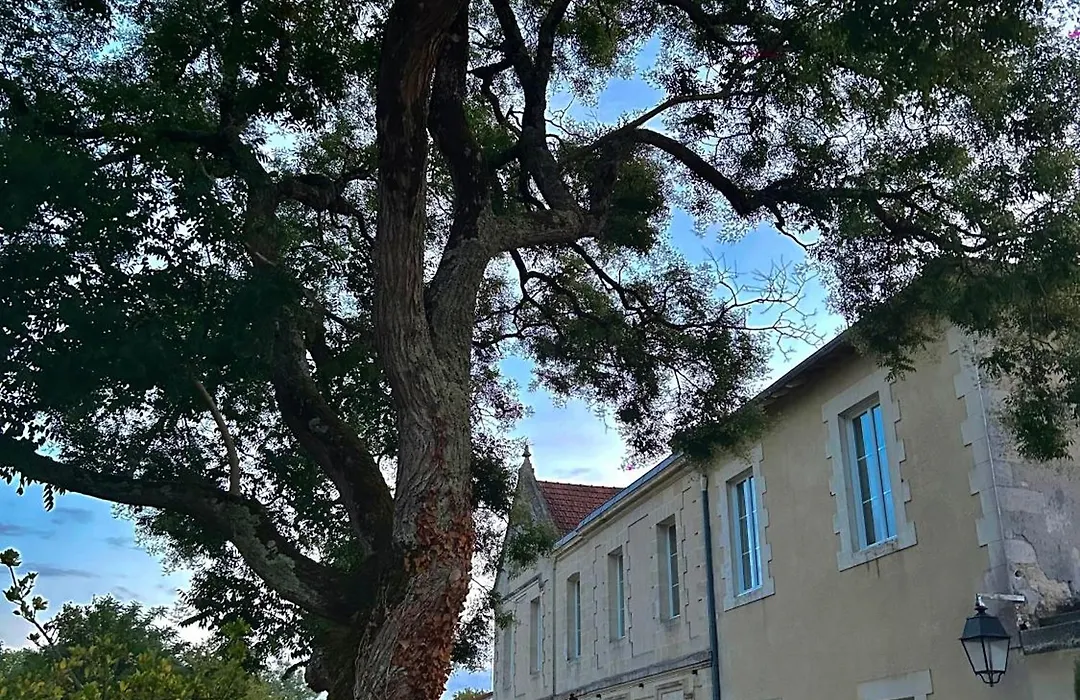 Château Bernon-1